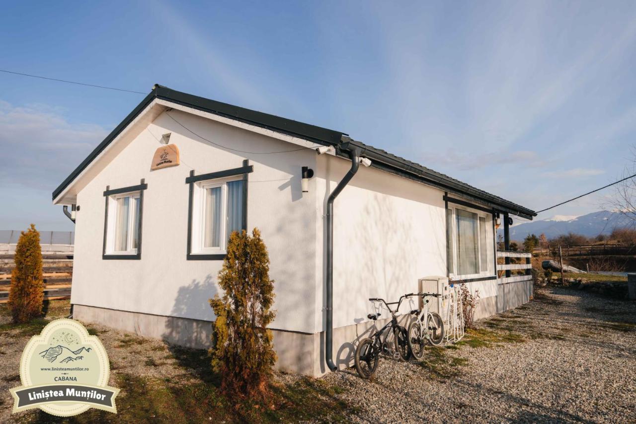 Linistea Muntilor Chalet Porumbacu de Sus Exterior foto