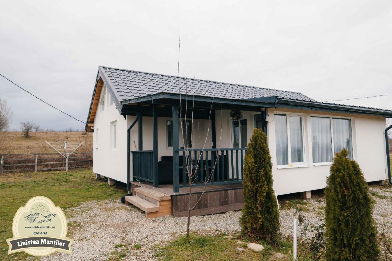 Linistea Muntilor Chalet Porumbacu de Sus Exterior foto