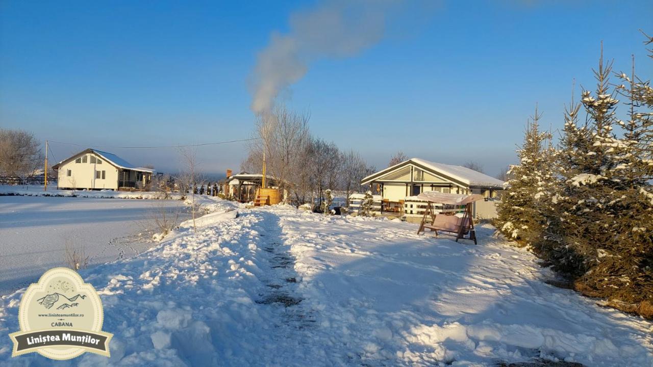 Linistea Muntilor Chalet Porumbacu de Sus Exterior foto