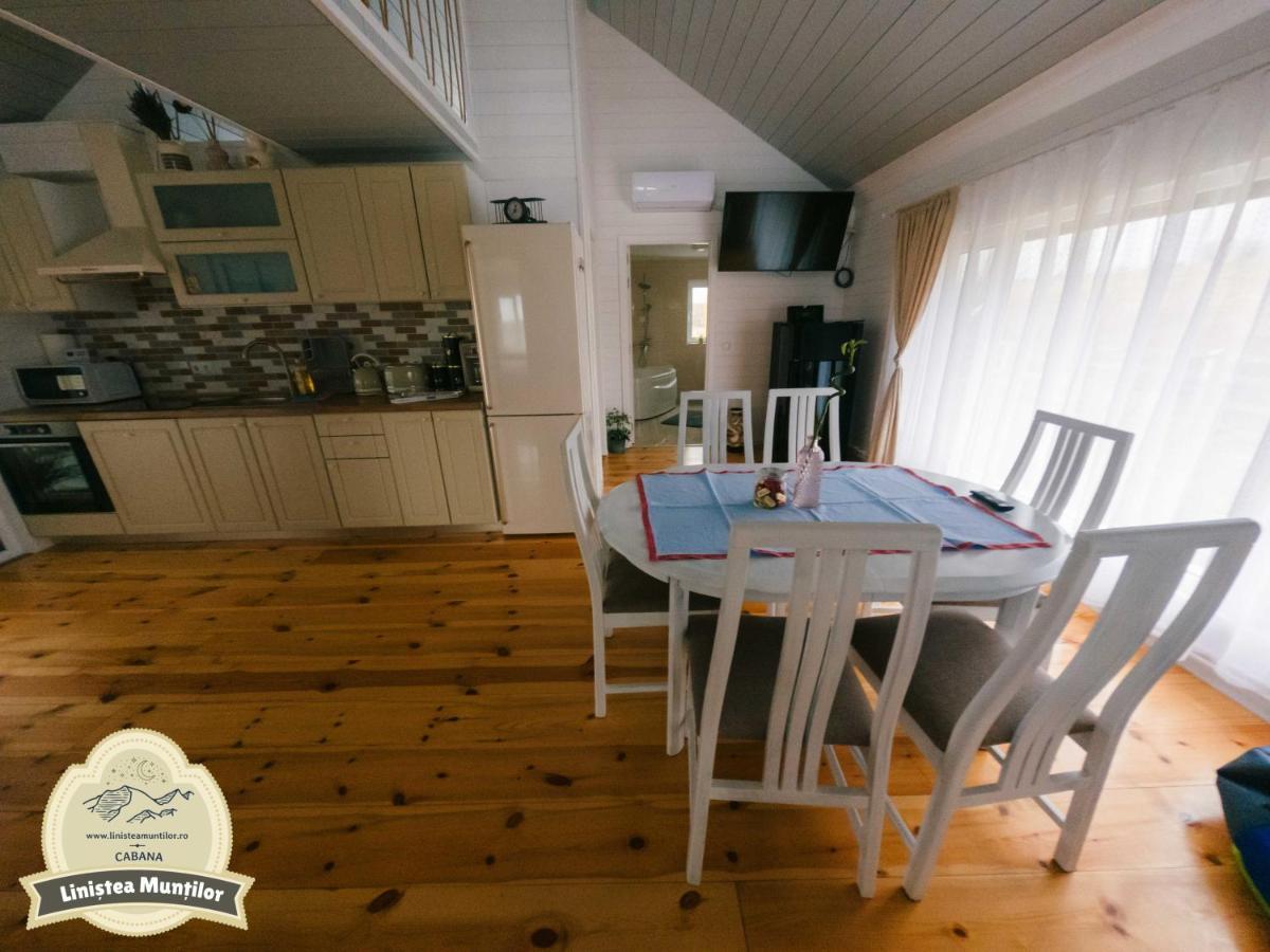 Linistea Muntilor Chalet Porumbacu de Sus Exterior foto