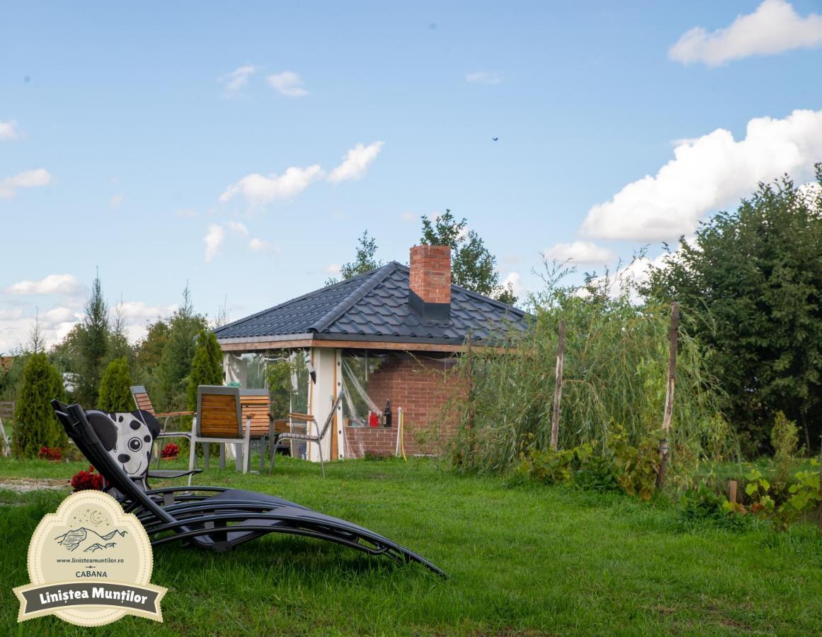 Linistea Muntilor Chalet Porumbacu de Sus Exterior foto
